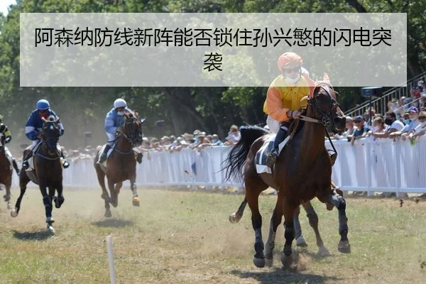 a-sen-na-fang-xian-xin-zhen-neng-fou-suo-zhu-sun-xing-min-de-shan-dian-tu-xi-2-251.jpg
